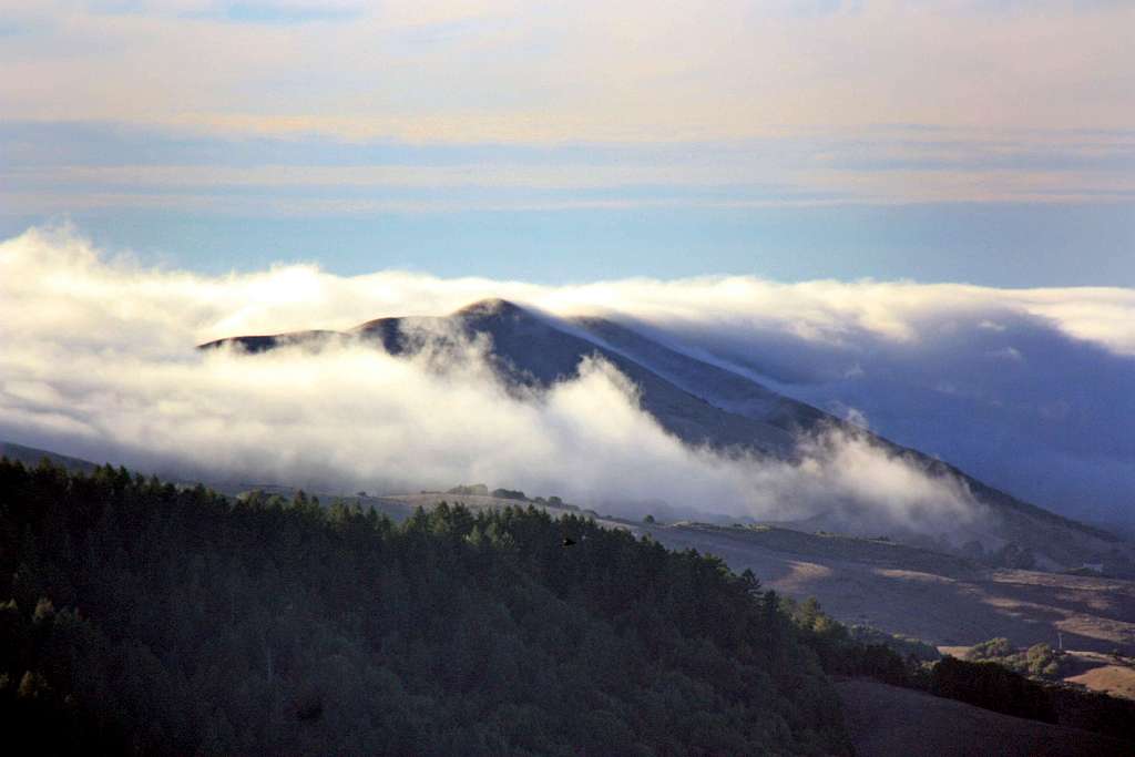 Coastal fog streams in over Black Mountain