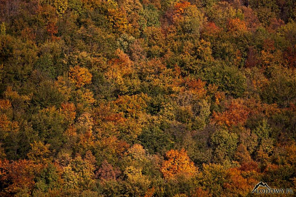 Muranska Planina fall colours