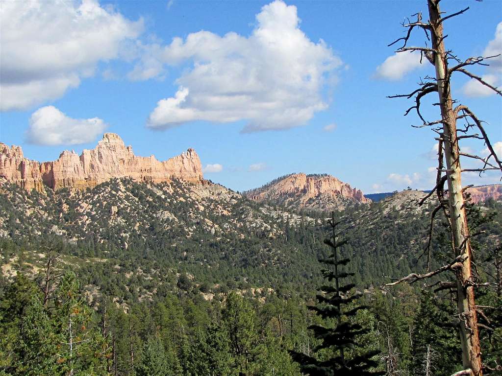 Point 8515 ft & Noon Canyon Butte