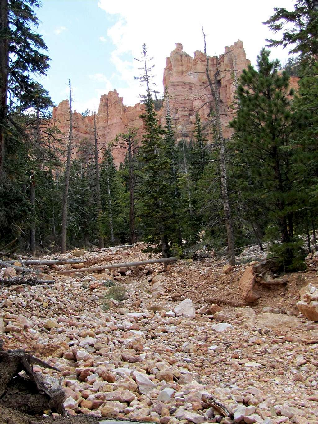 North Fork of Black Birch Canyon