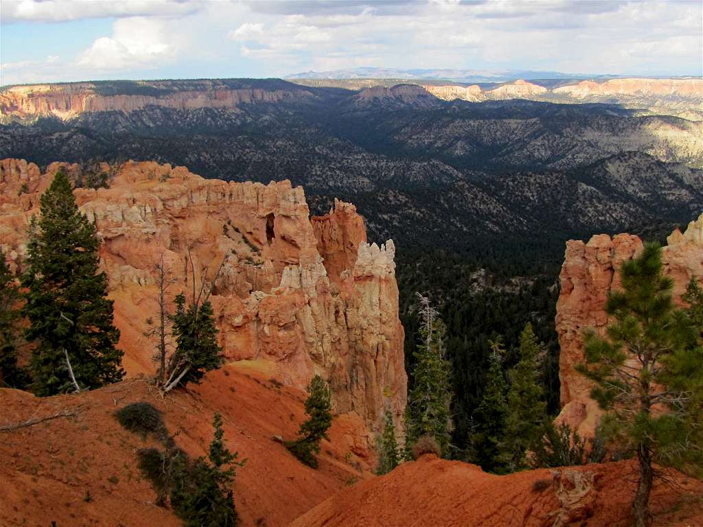 Black Birch Canyon from above