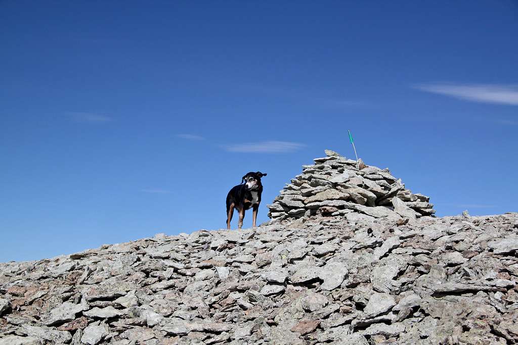 Duchess on the summit