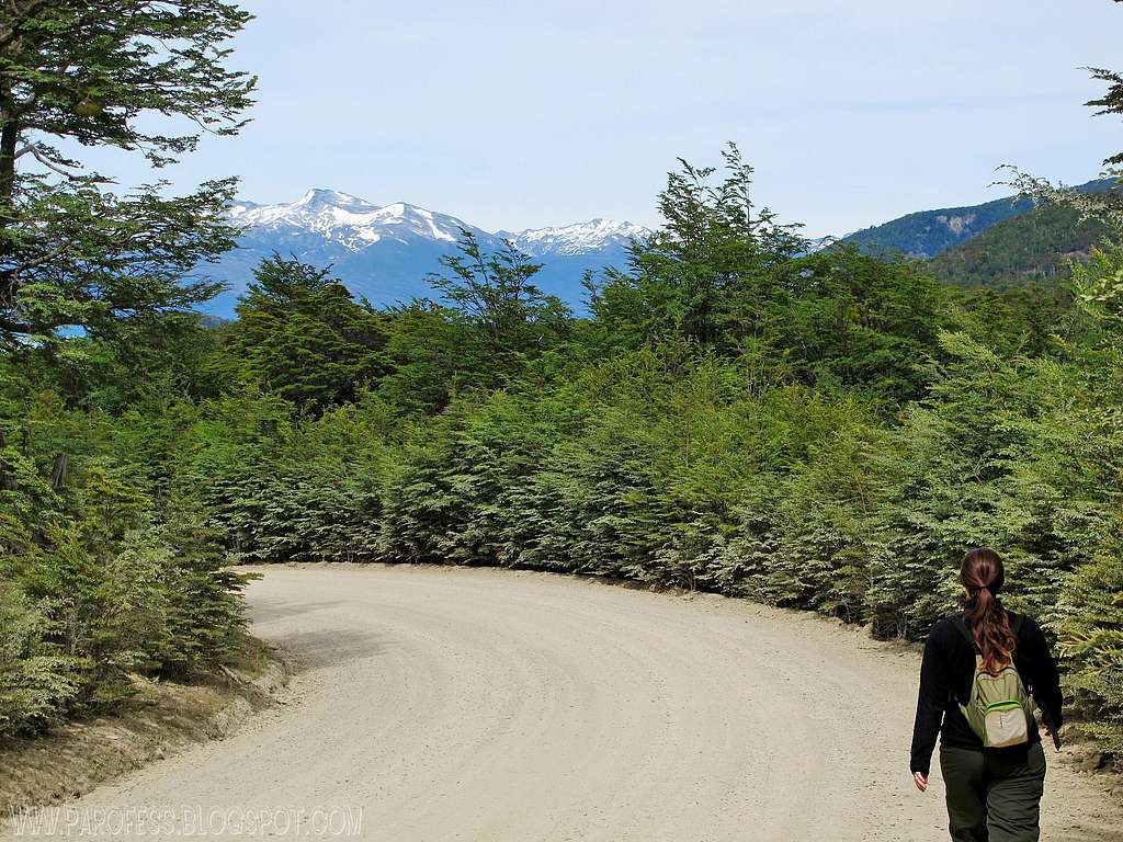 Hiking at Tierra Del Fuego NP, Ushuaia