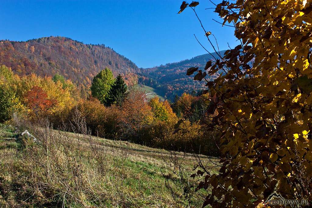 Carpathian fall