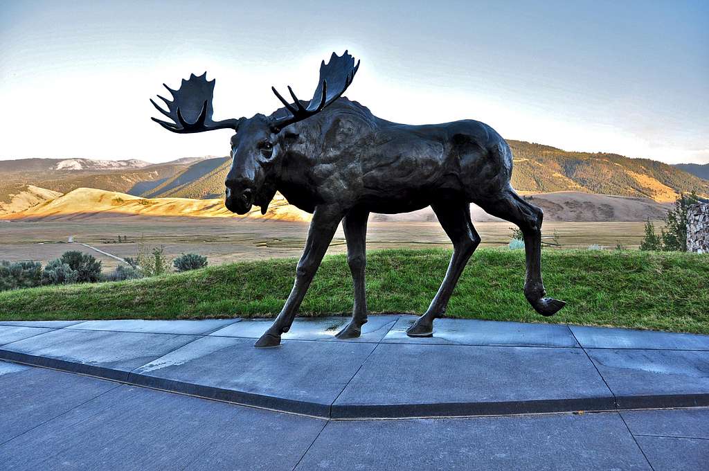 Statue of a moose 
