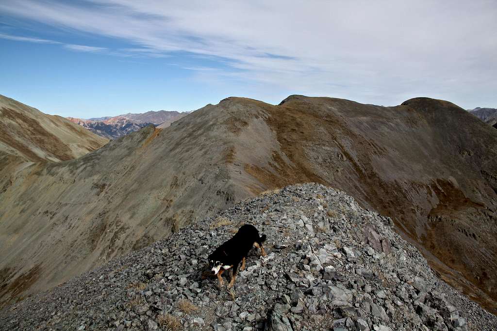 Duchess on the summit of Spencer