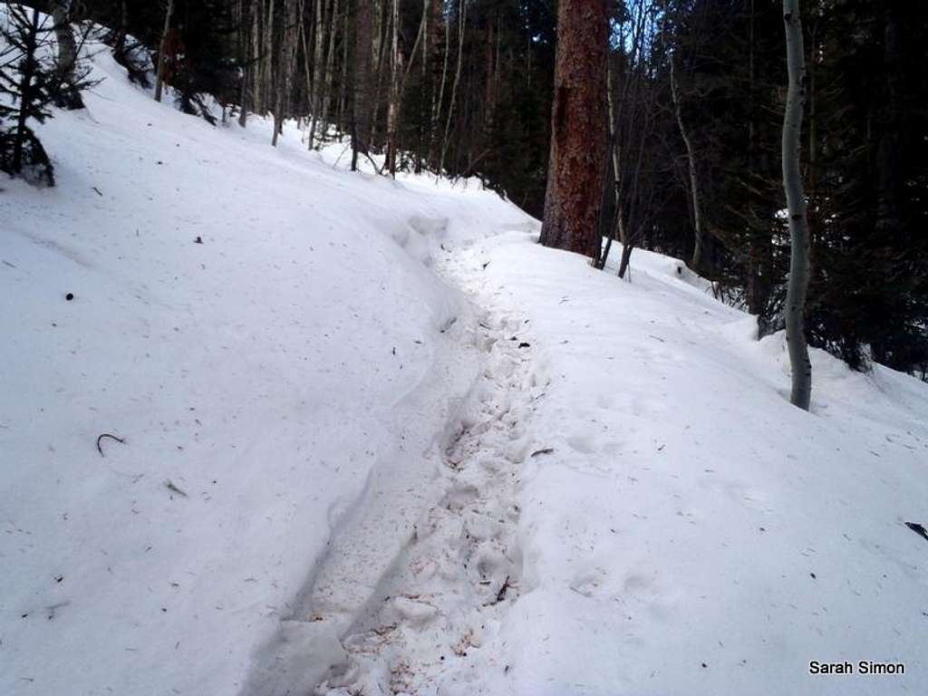 Snow shoe trench