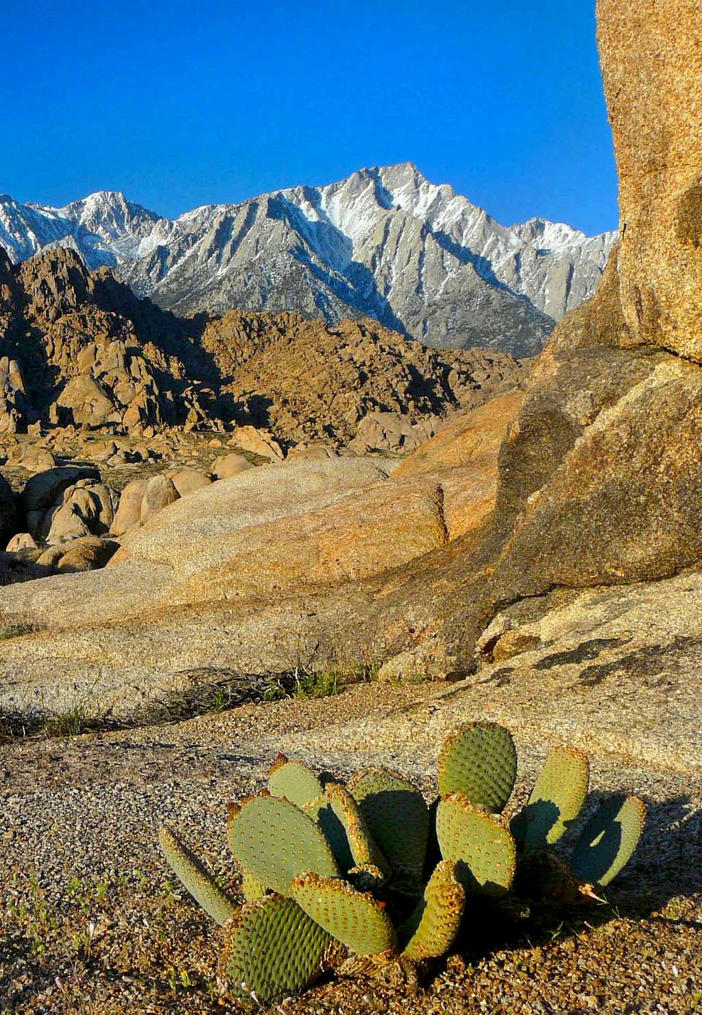 Lone Pine Sierra from the Alabama Hills