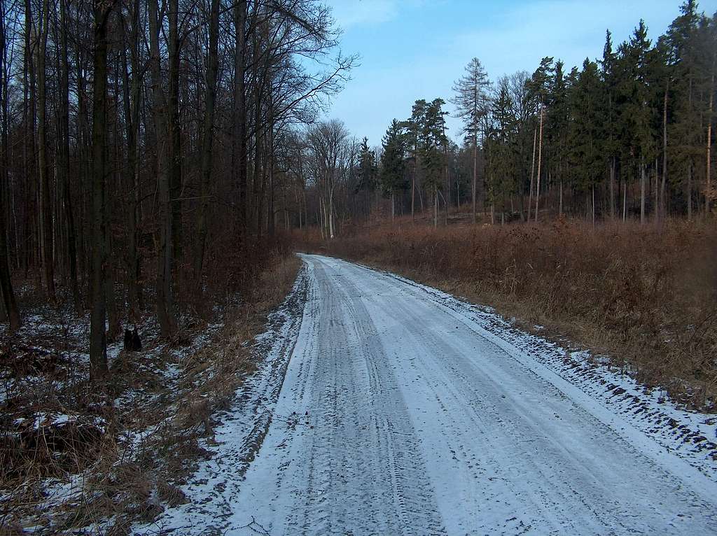 Red trail from Strzelin in winter