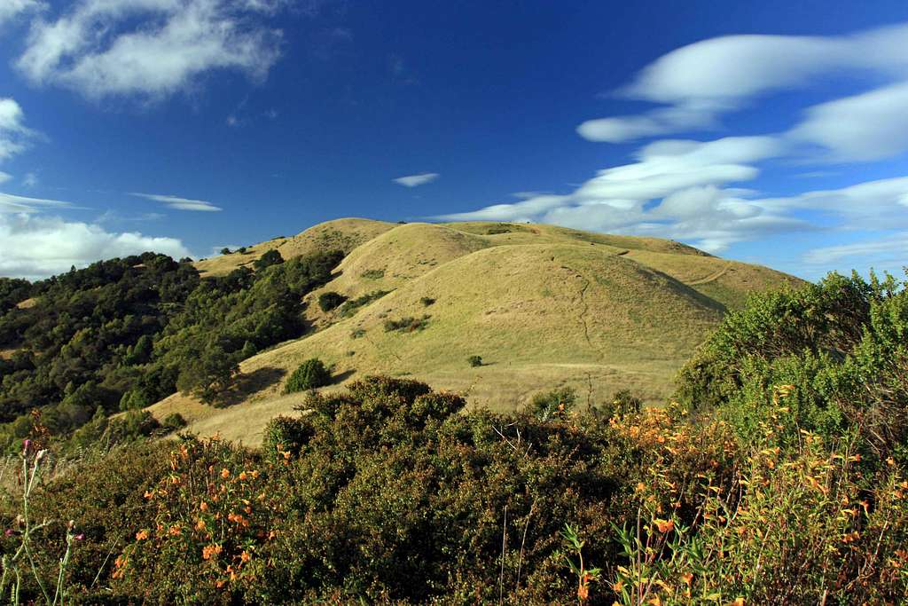 Bald Hill south slope