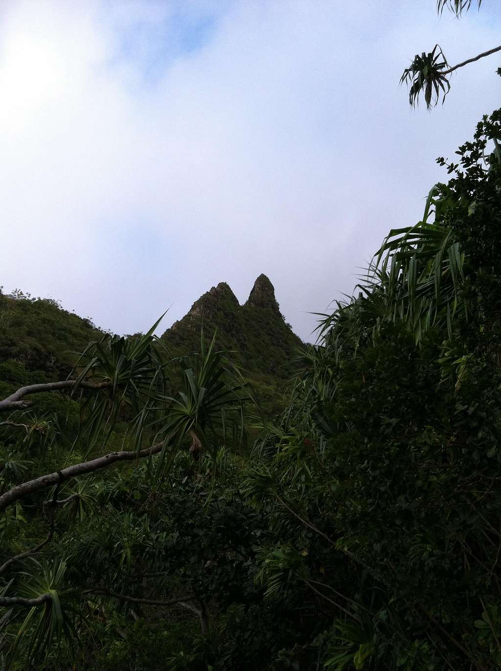Jungle peak in the mountains of Kauai, near the Na Pali coast
