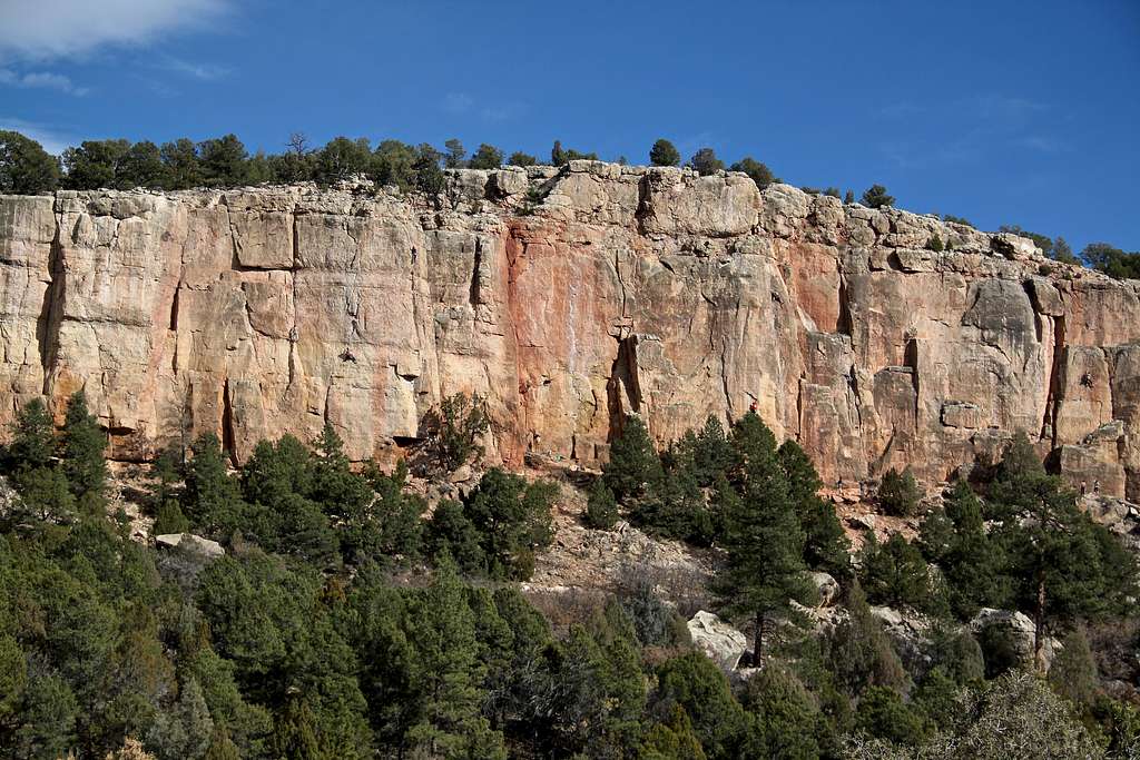 Cactus Cliff