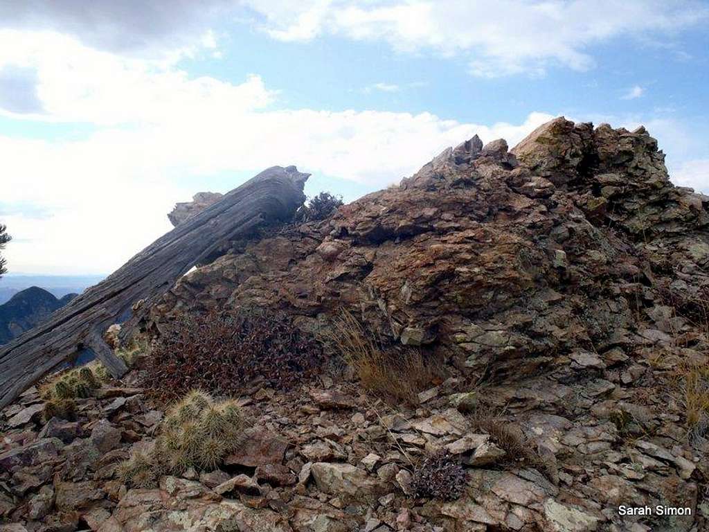Rock outcrop on ridge
