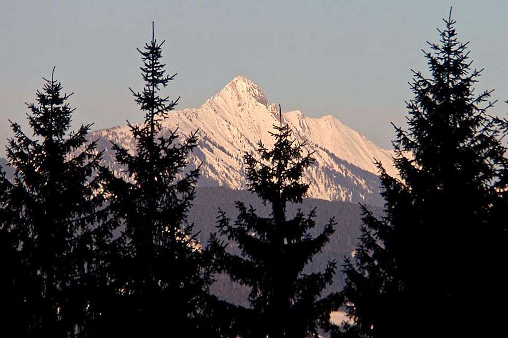 Spitzegel from the west