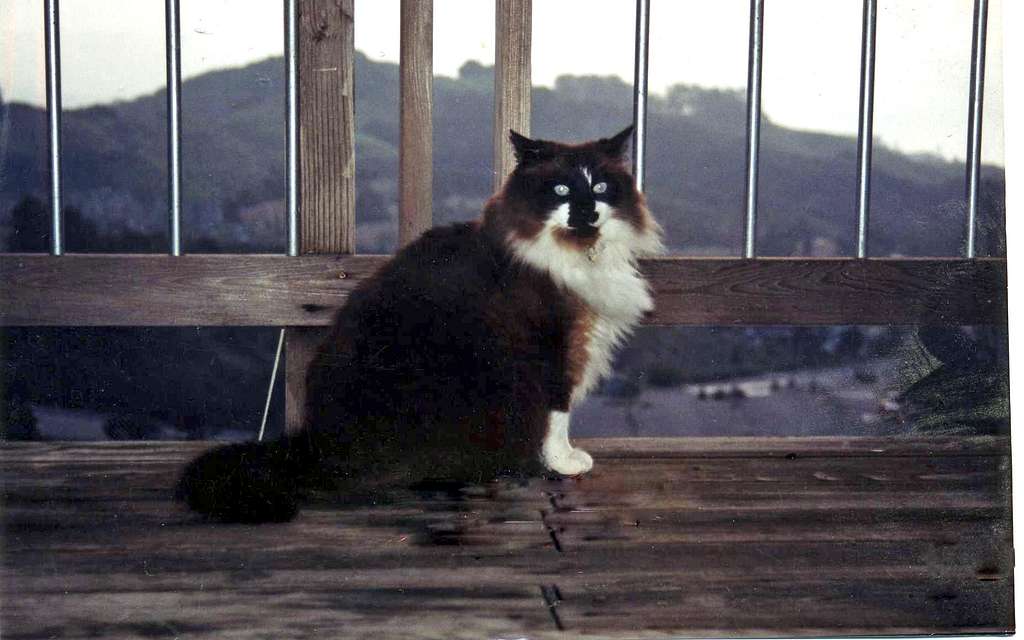  Lou on the deck