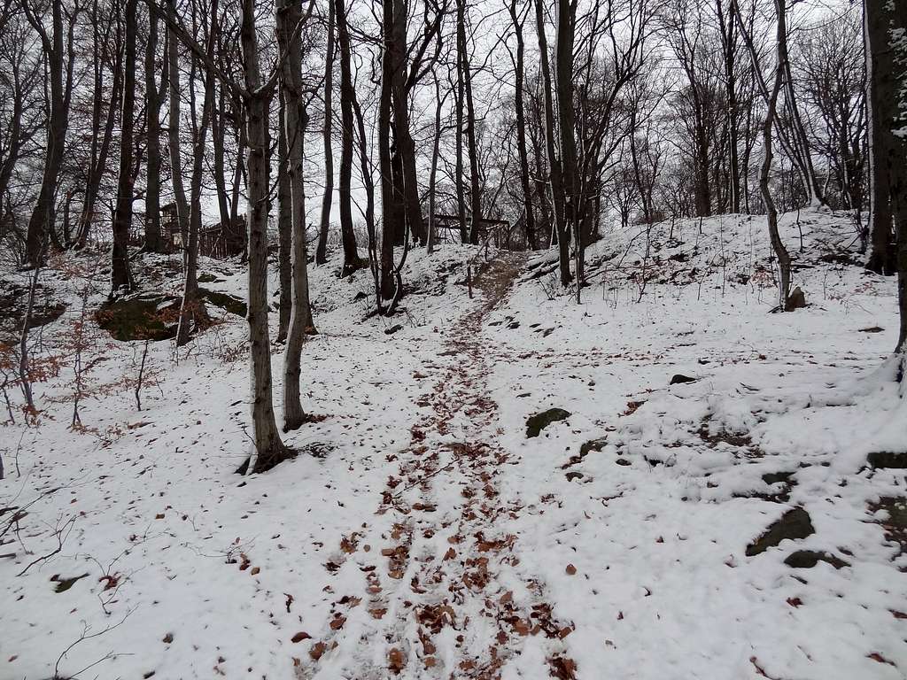 Snowy trail to Gromnik