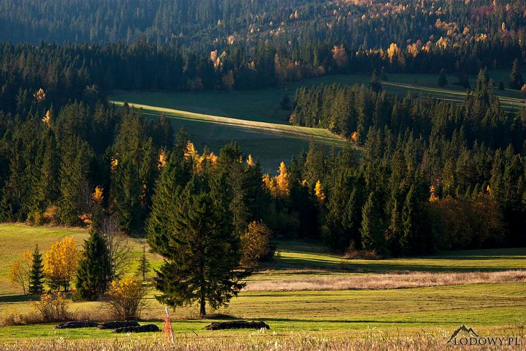 Lapszanka meadows in morning sun