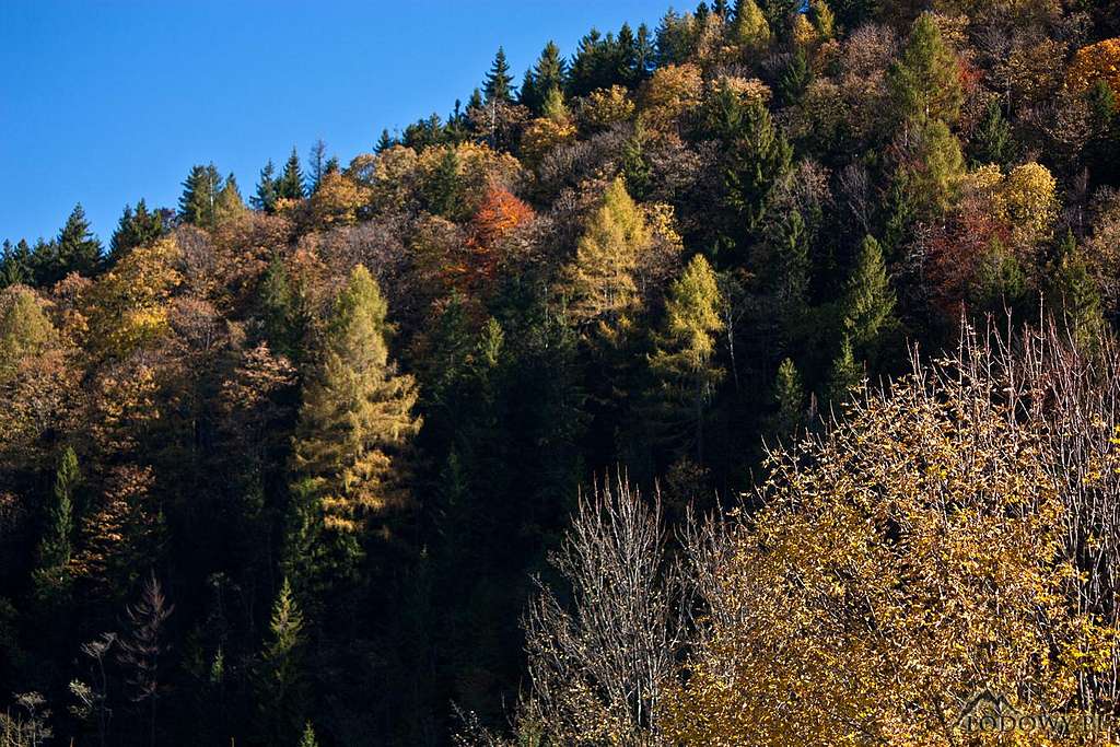 Kycera slopes in fall colours