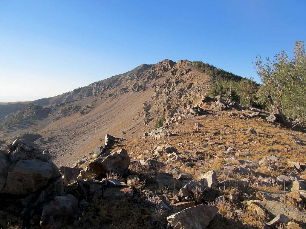McAfee Peak