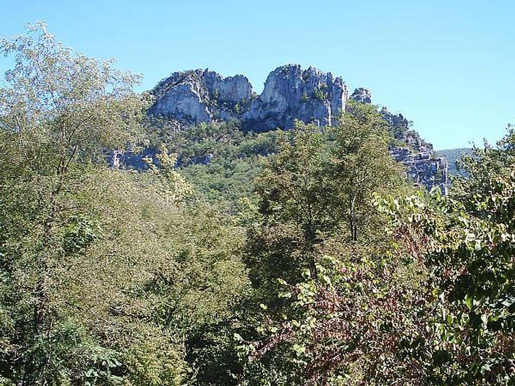 Seneca Rocks Behind Forest