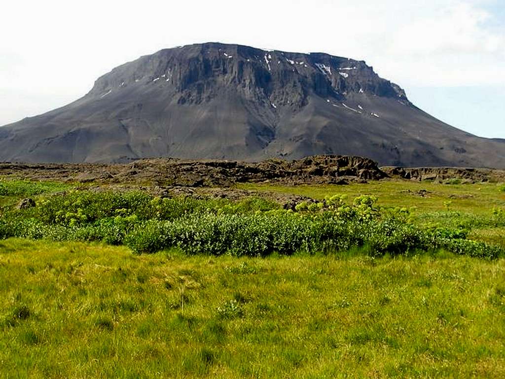 Herðubreið from the campsite,...