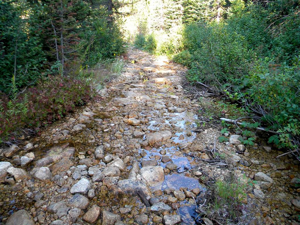 Some Trail Erosion