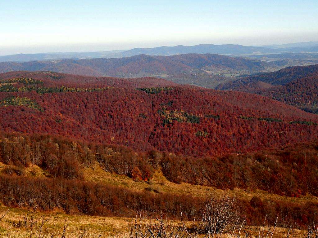 View from Mount Połonina Wetlińska 