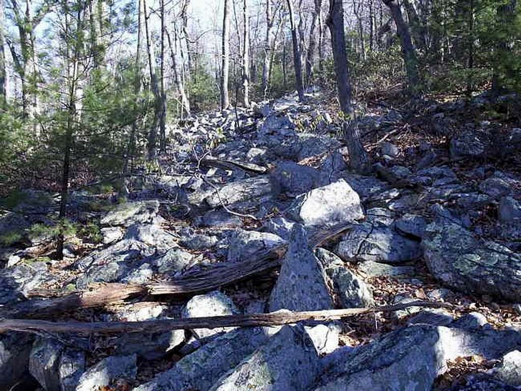 A section of rock slide on...