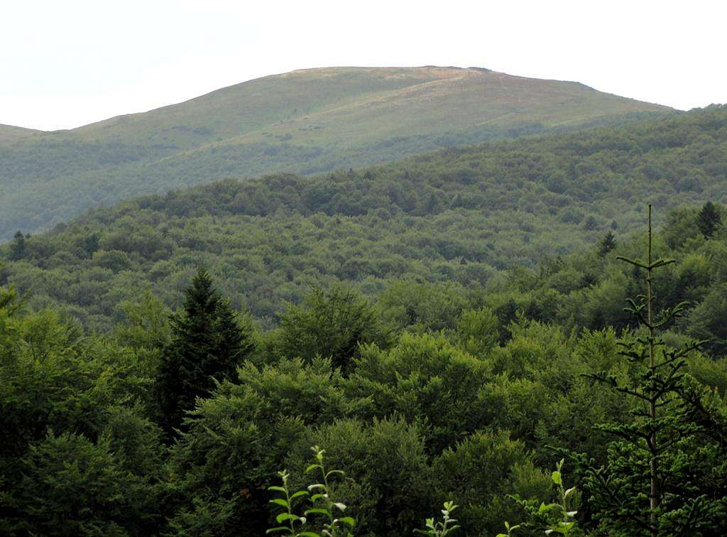 Mount Bukowe Berdo - 1313 m