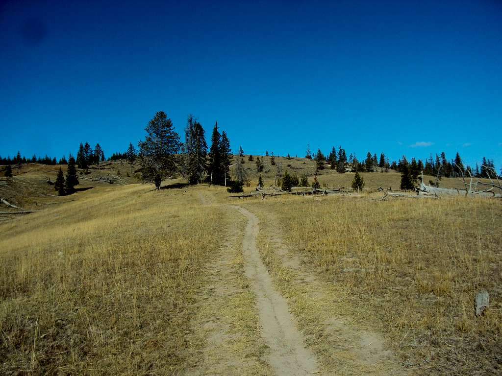 Trail to Yellowstone Lake Overlook