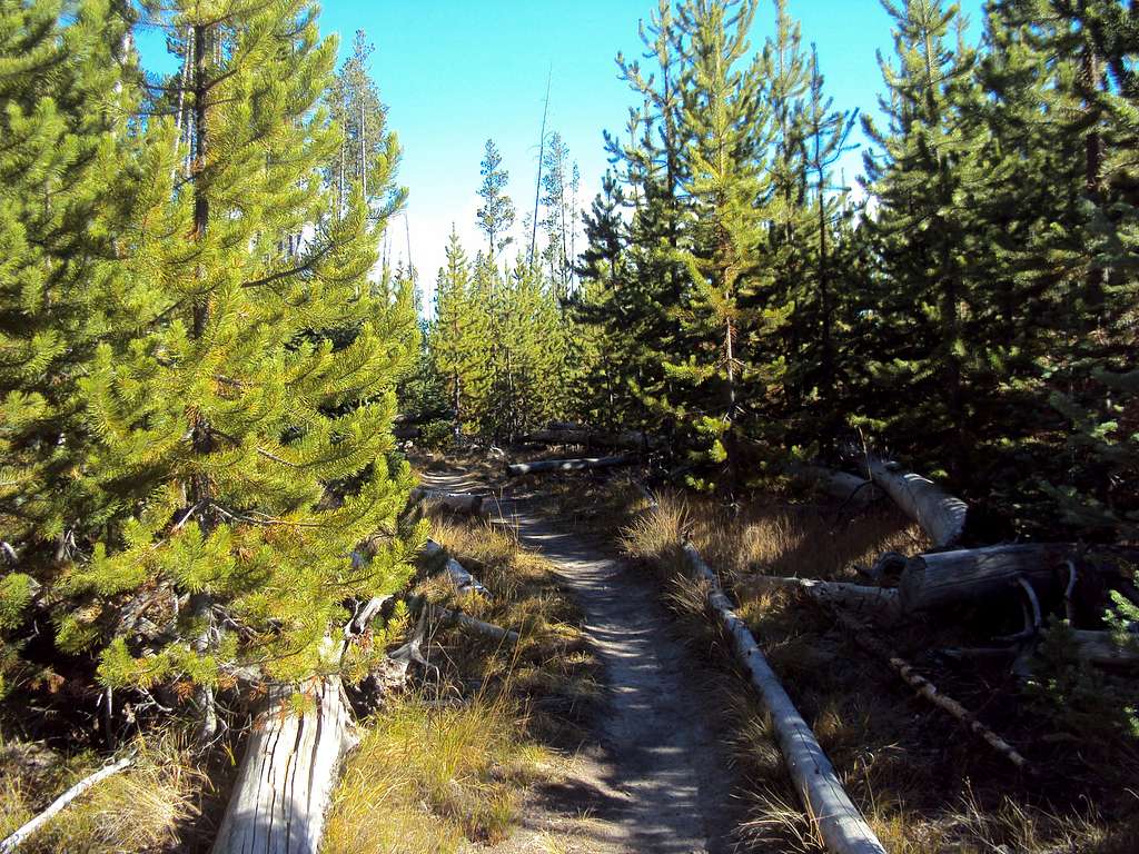 Lower trail near Trailhead