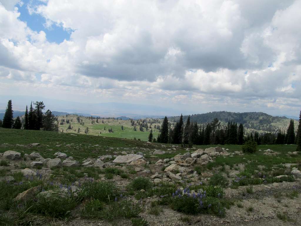 along the summit road