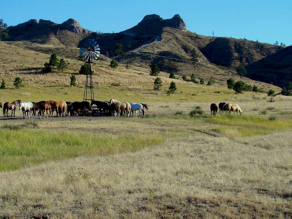 Horses at Cheyenne Buttes trailhead