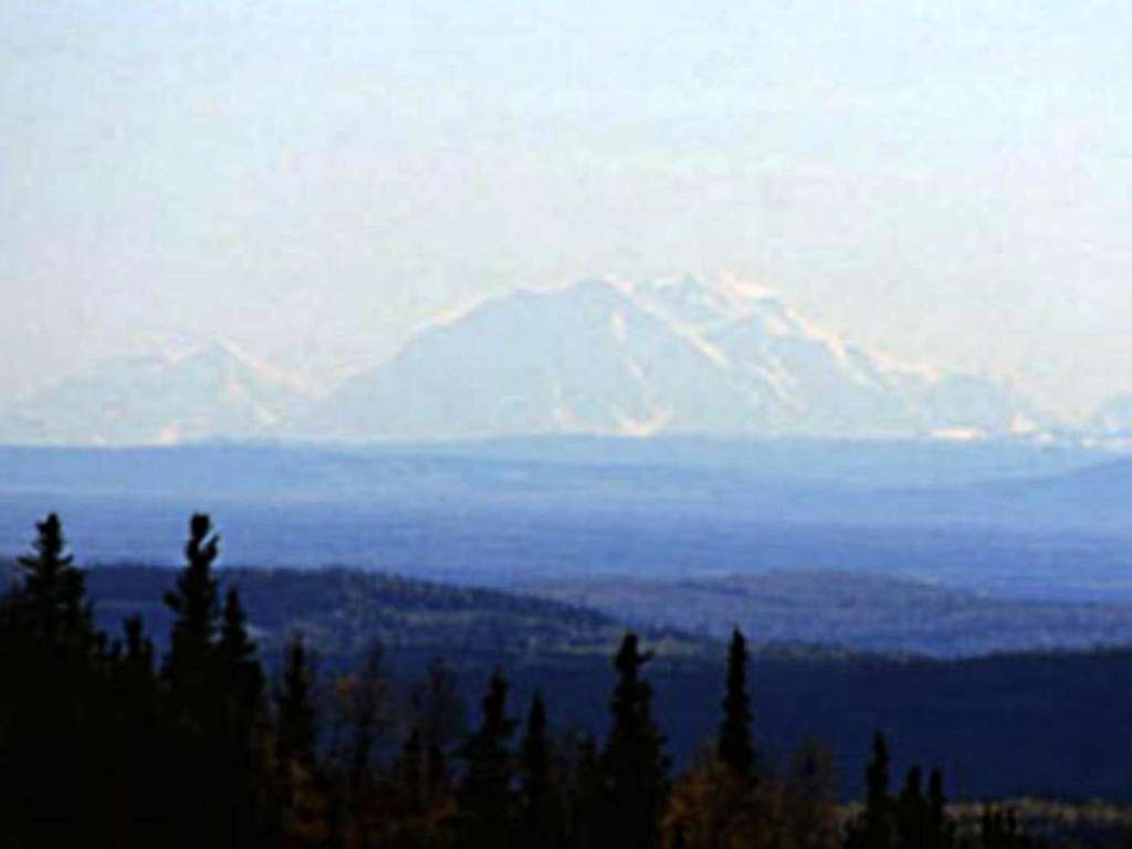 View of Denali from Ester Dome