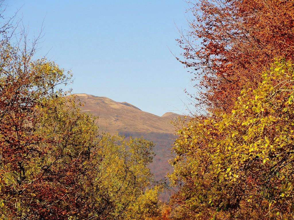 Mount Tarnica and Mount Tarniczka