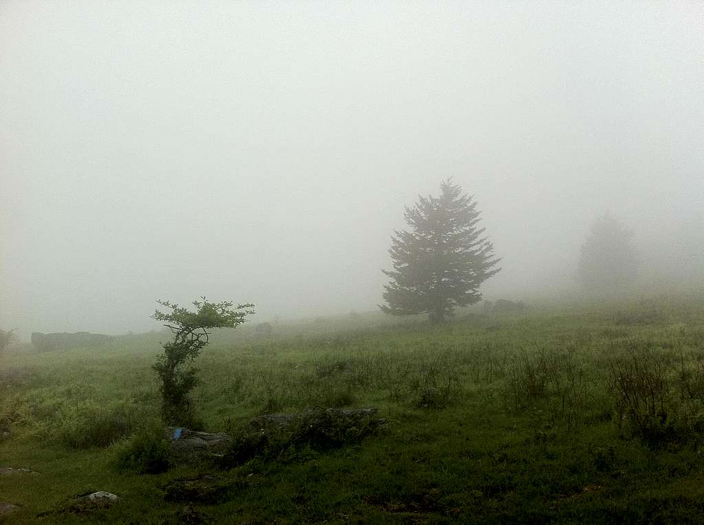 Foggy Mt Rogers