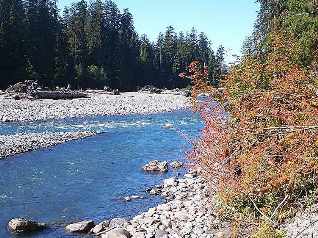 Hoh River Downstream