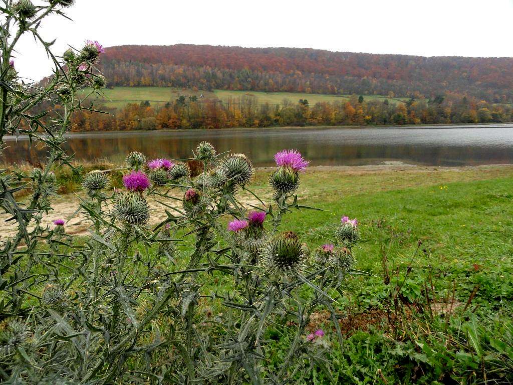 Autumn by Lake Myczkowskie 