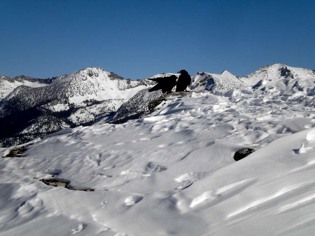 Ostrander Lake & Horse Ridge snowshoe from Badger Pass 01-20-2013