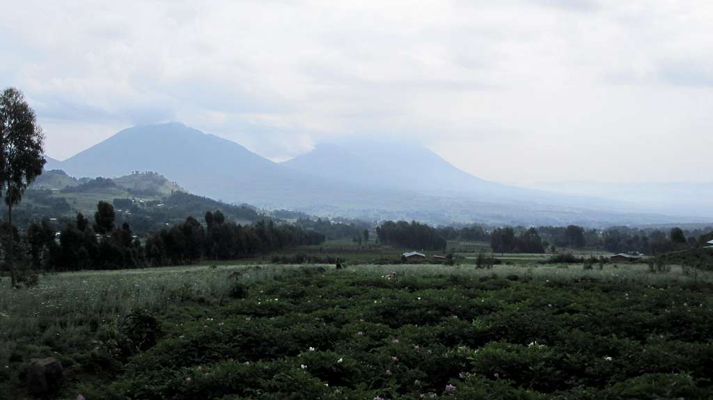 Virunga Volcanoes