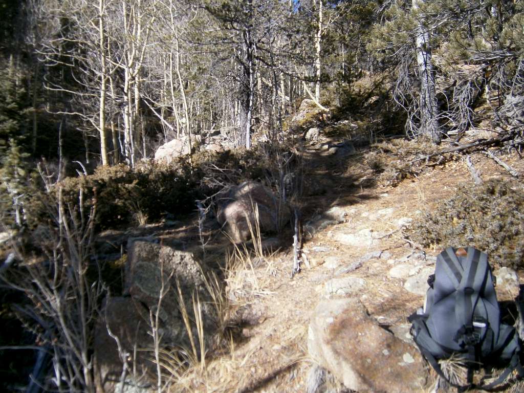 Trail Above Louds Cabin