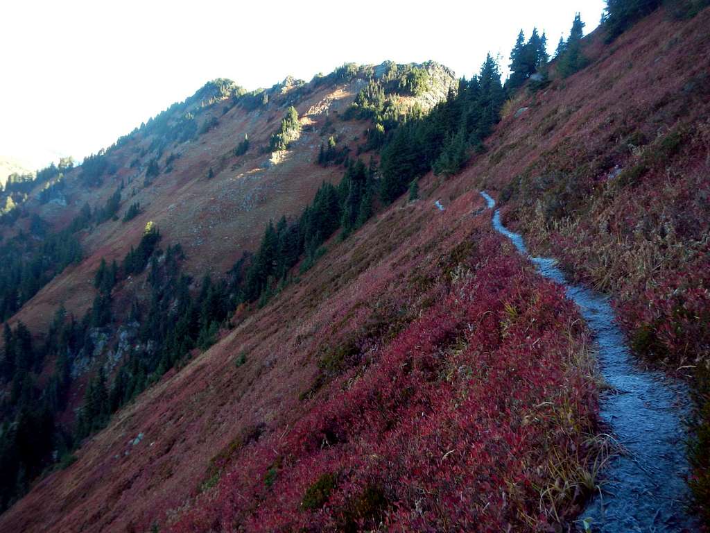 Wenatchee Ridge Trail