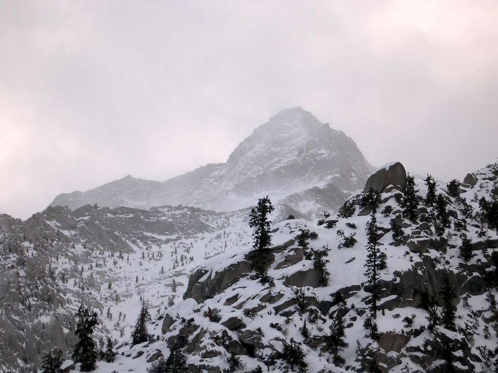 Approach to Whitney in Winter