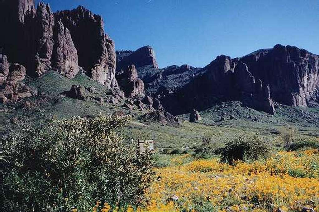 View of Superstitions from...