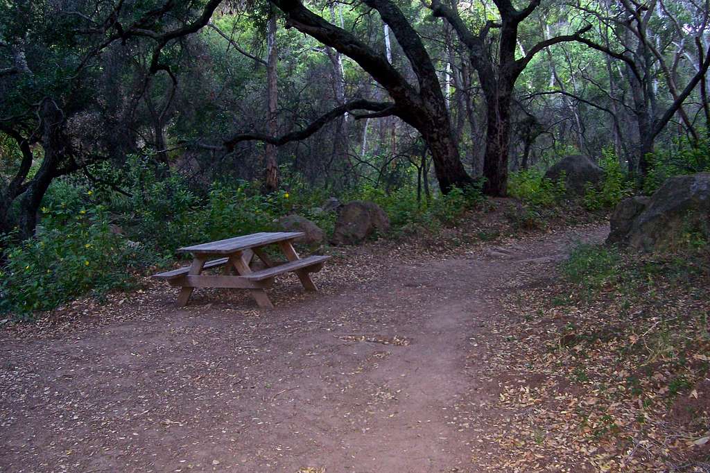 Resting spot and bench