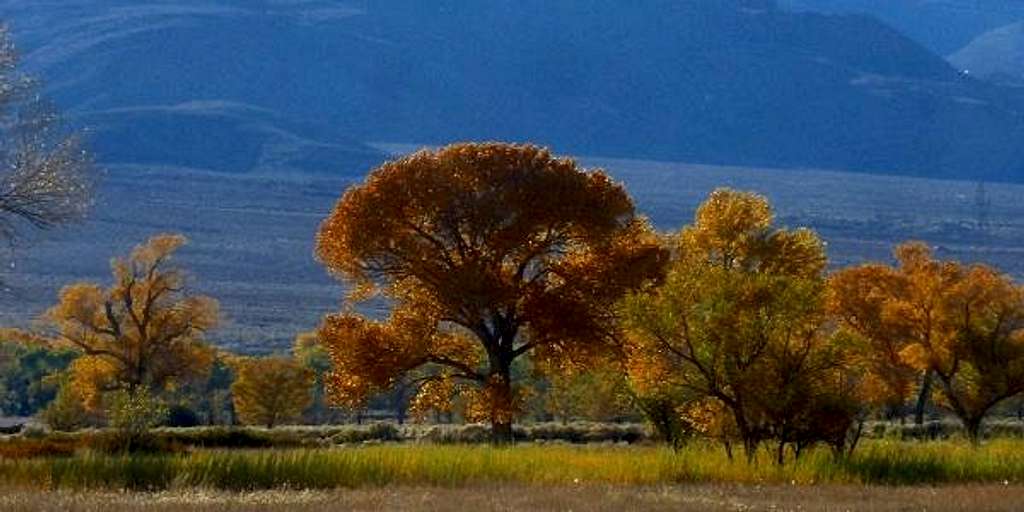 autumn in the owens valley