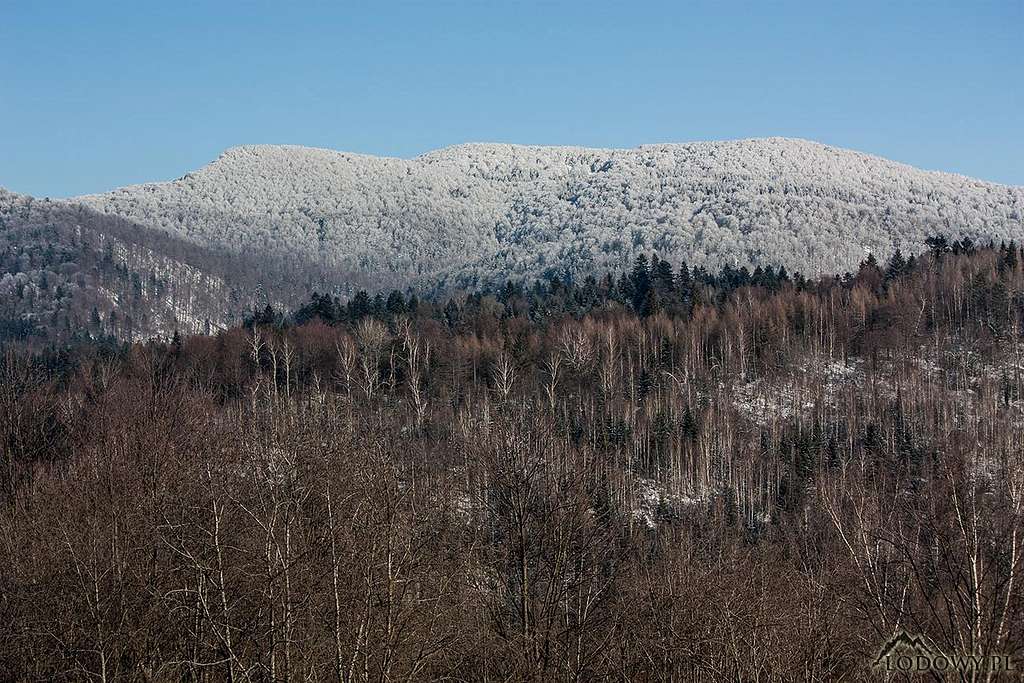 Lopiennik massif from Cisna