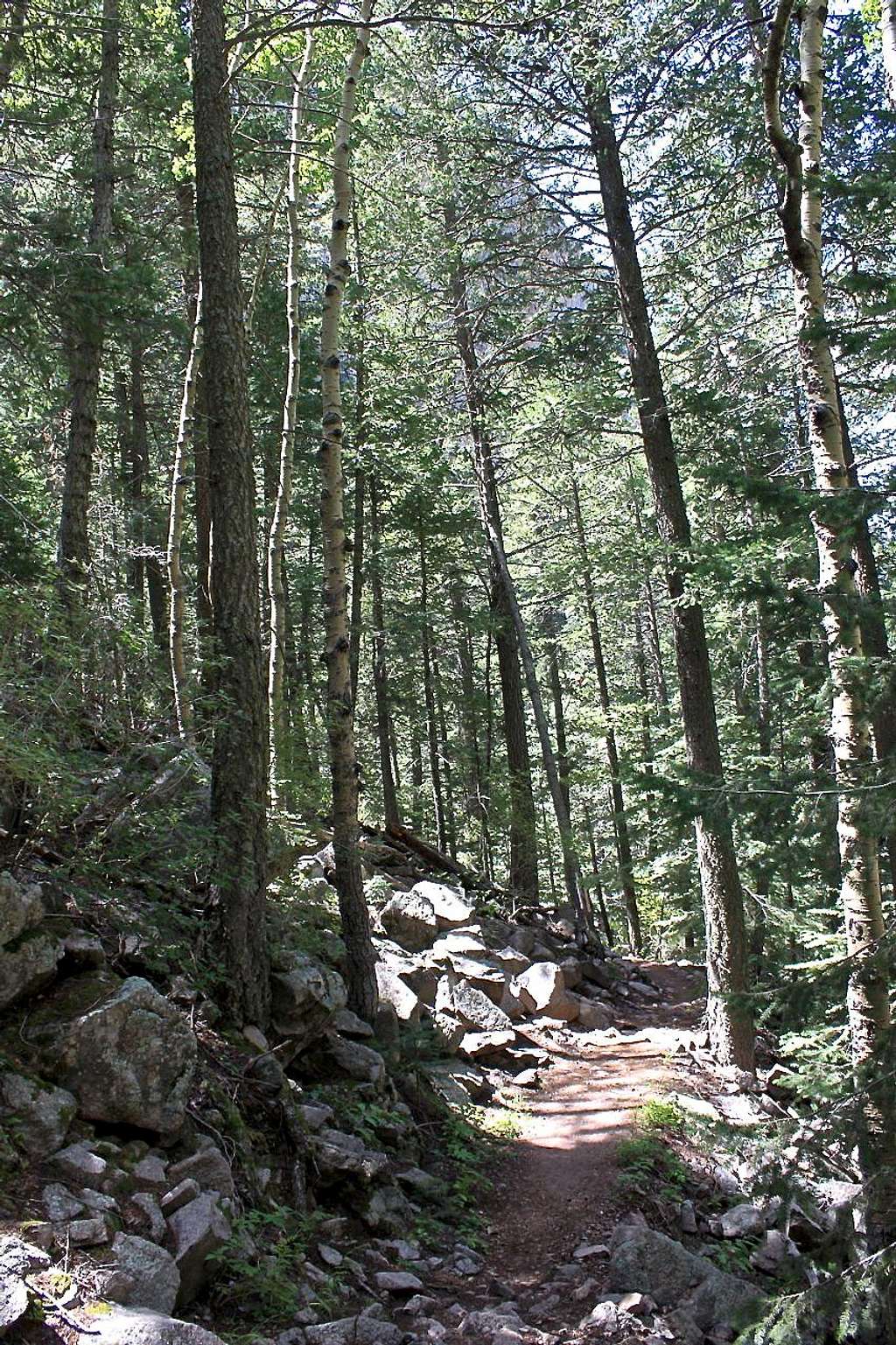 Higher section of the trail