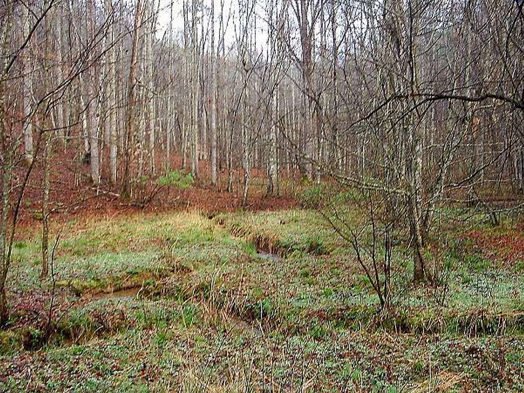 Renfro Loop Meadow