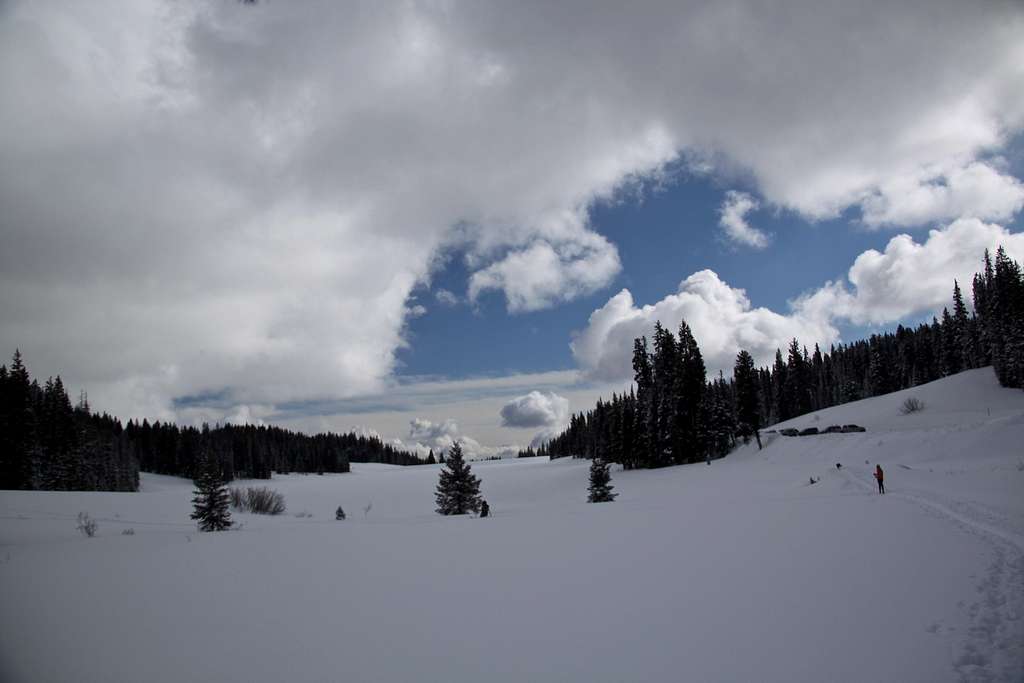 Ward Lake Ski Trails